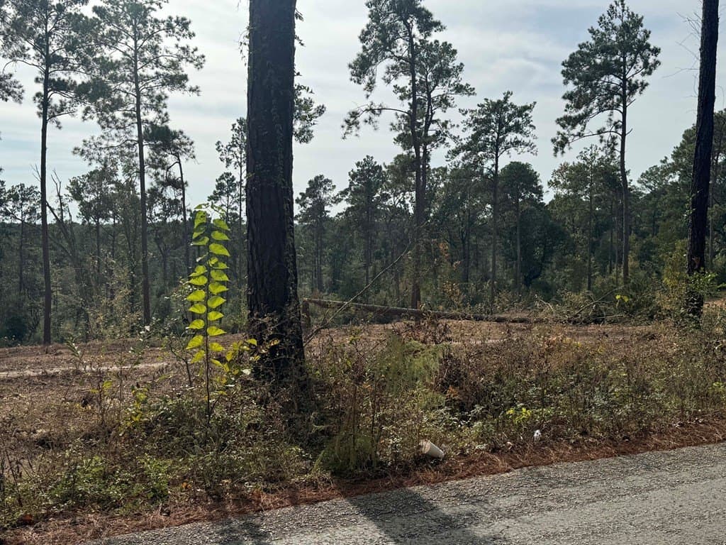 0.5 acres in Texas County - photo 7