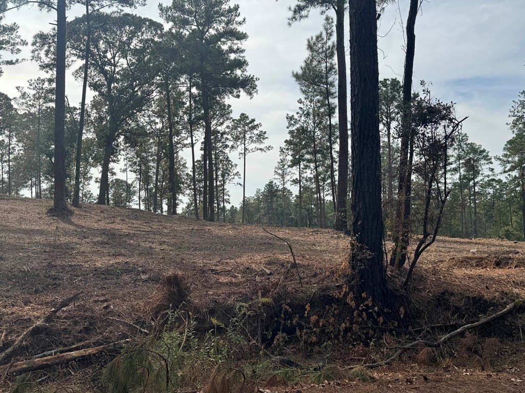 0.5 acres in Texas County - photo 18