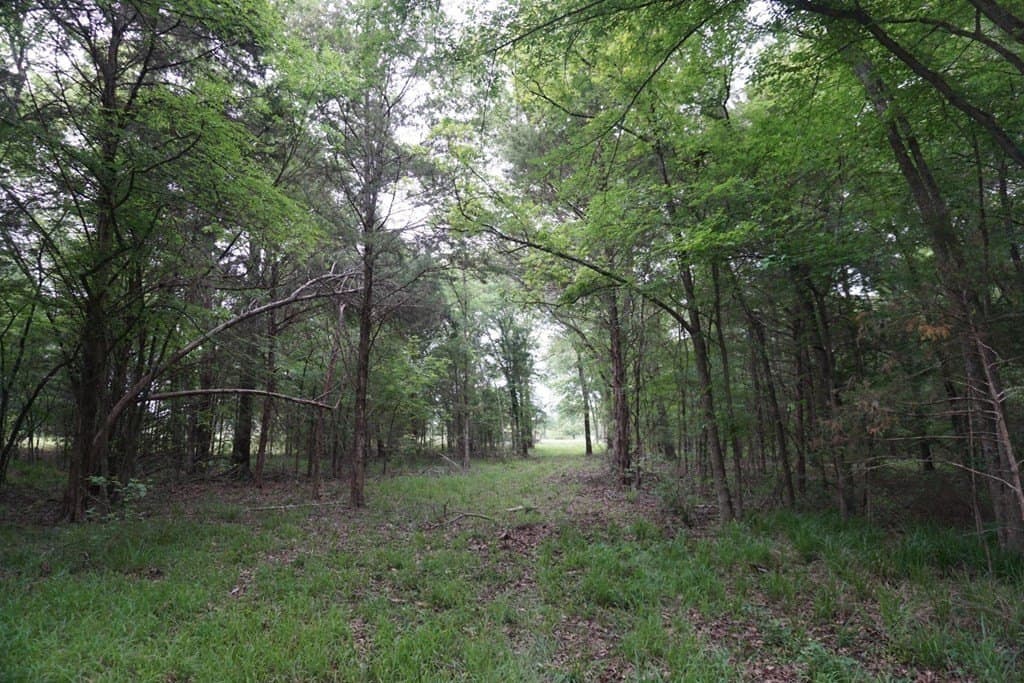 22.5 acres in HENDERSON County - photo 29