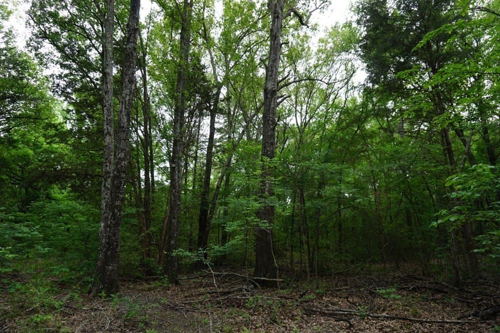 22.5 acres in HENDERSON County - photo 20