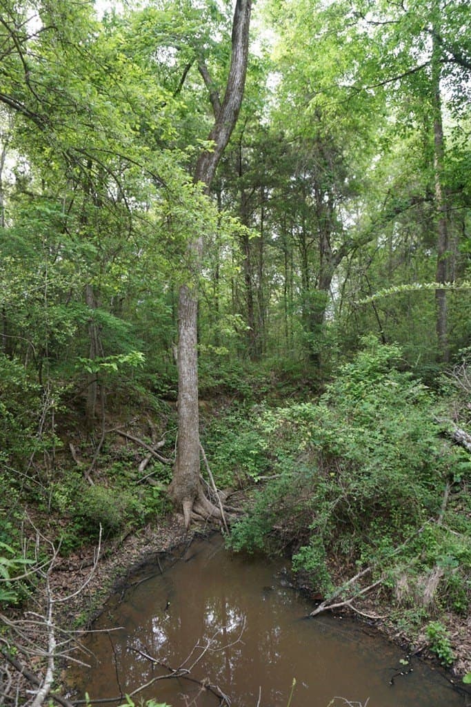 22.5 acres in HENDERSON County - photo 10