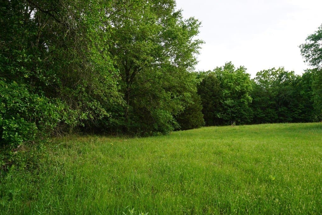 22.5 acres in HENDERSON County - photo 31