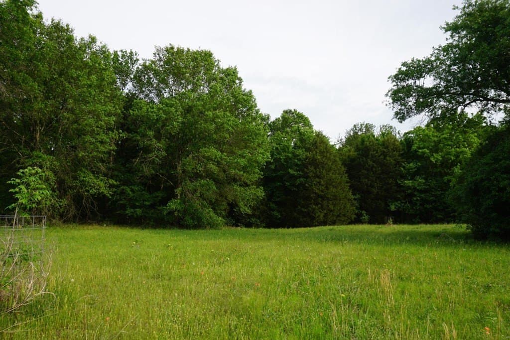 22.5 acres in HENDERSON County - photo 23
