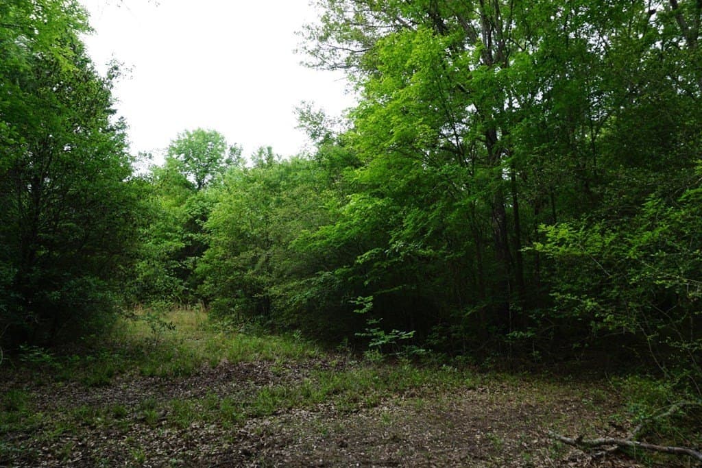 22.5 acres in HENDERSON County - photo 18