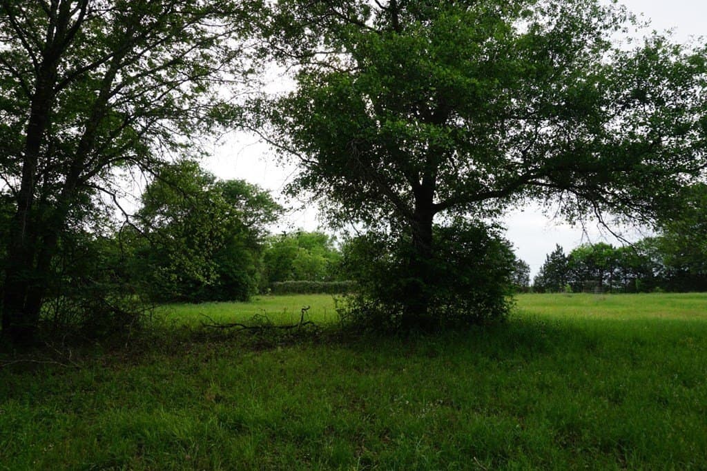 22.5 acres in HENDERSON County - photo 30