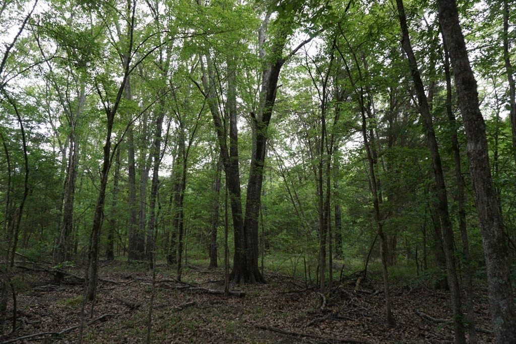 22.5 acres in HENDERSON County - photo 21