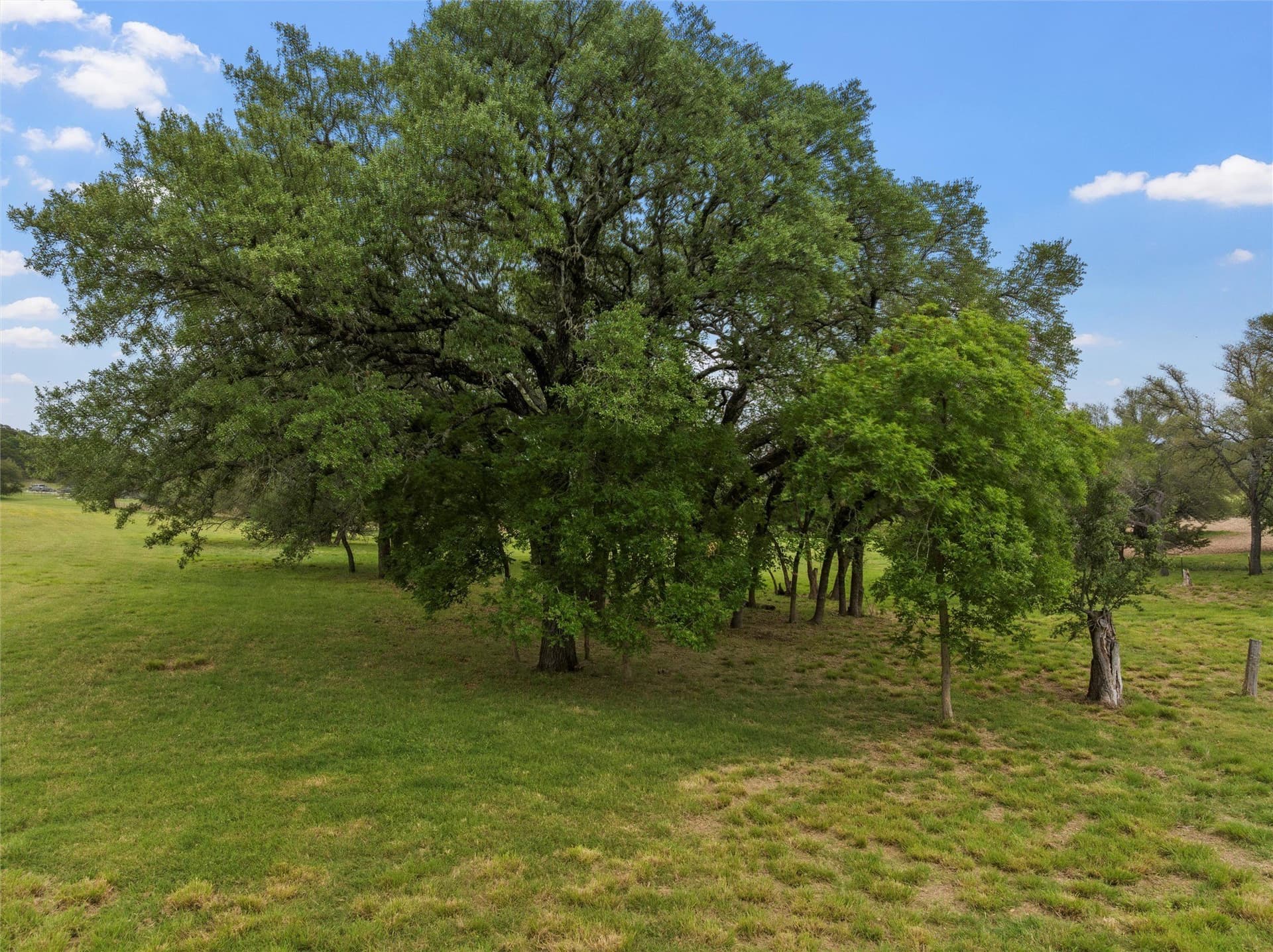 108.4 acres in Bosque County - photo 30