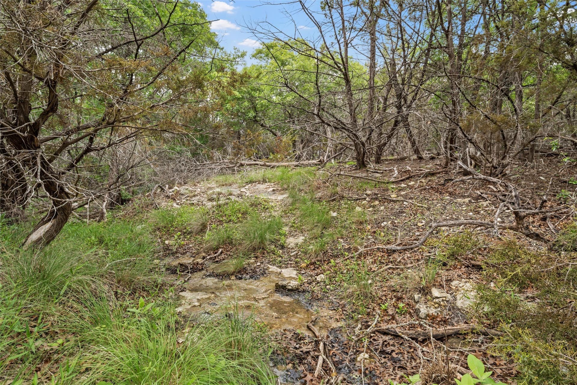 108.4 acres in Bosque County - photo 37