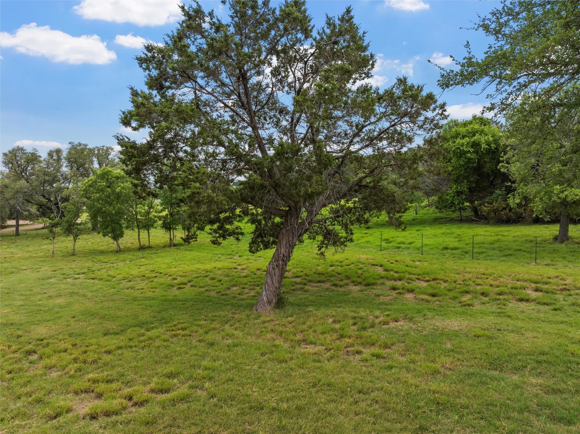 108.4 acres in Bosque County - photo 29