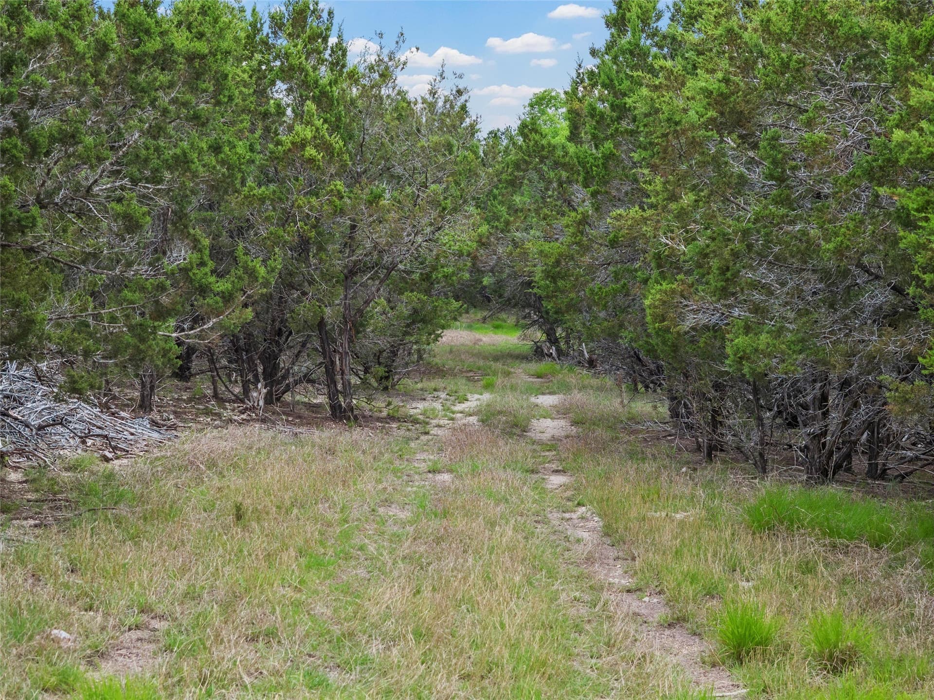 108.4 acres in Bosque County - photo 34