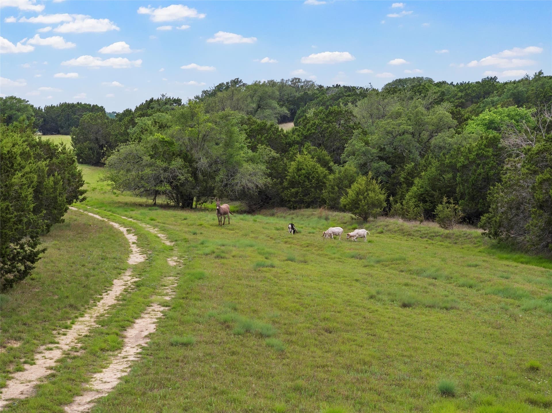 108.4 acres in Bosque County - photo 19