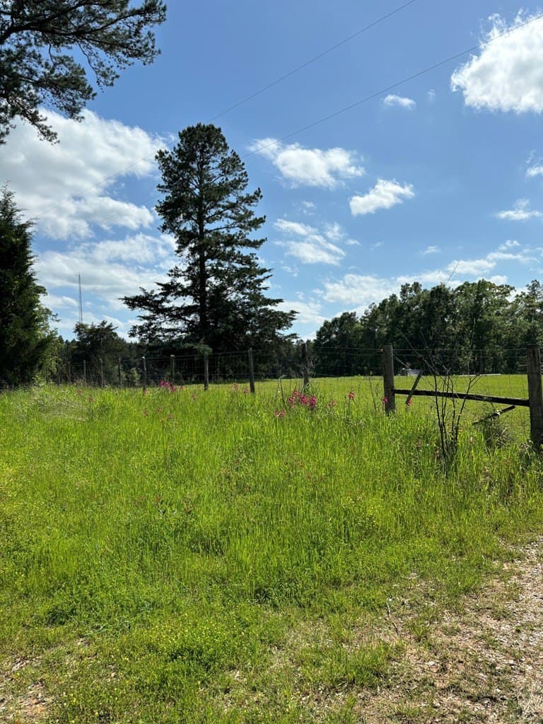 10 acres in Texas County gallery image 2