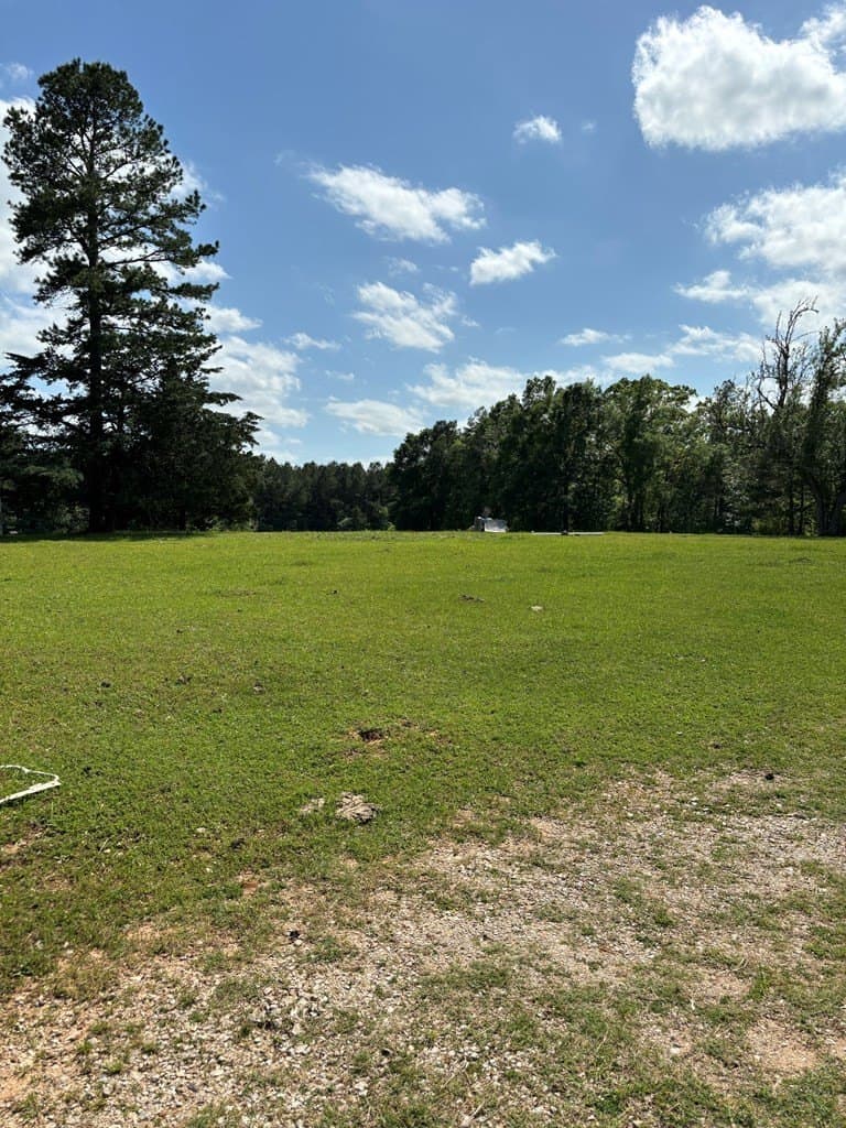 10 acres in Texas County gallery image 4