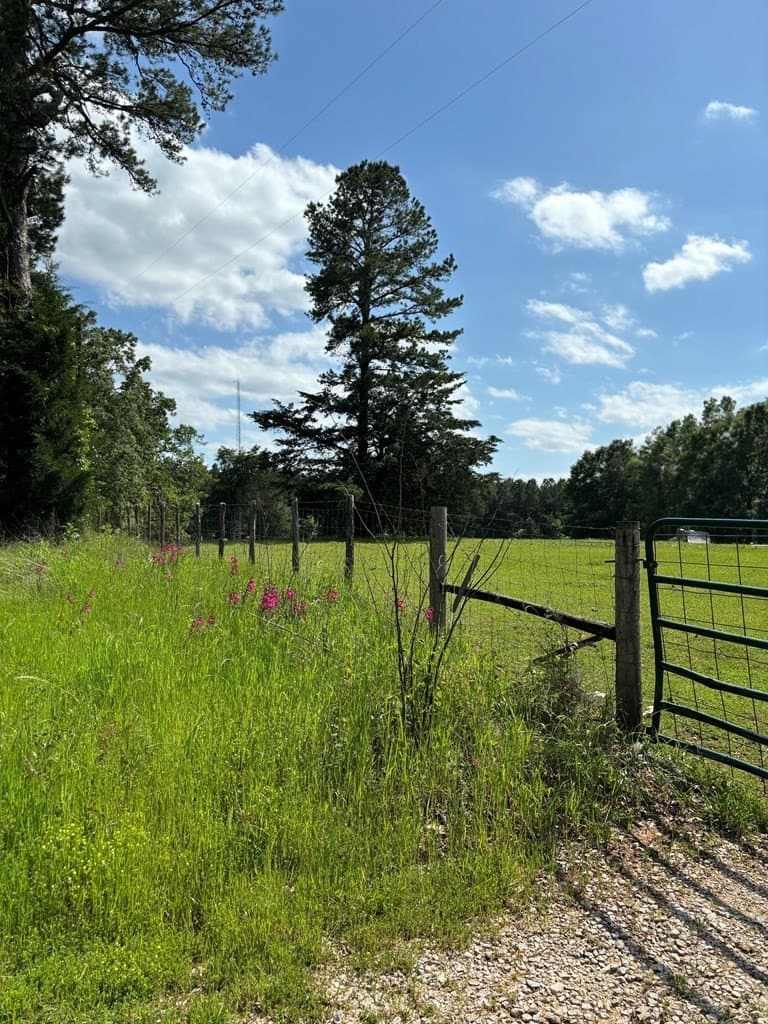 10 acres in Texas County gallery image 3