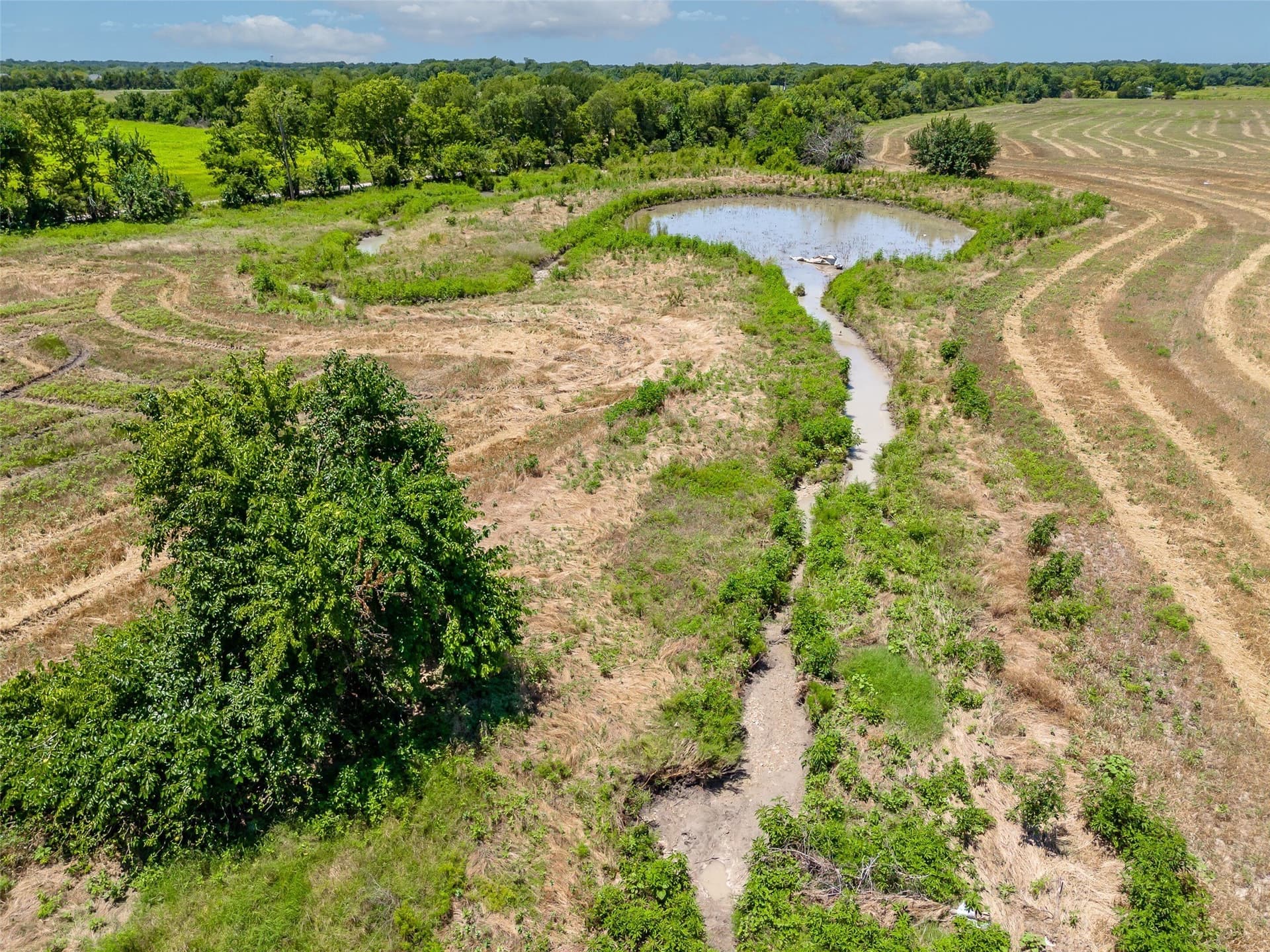 34.25 acres in Fannin County - photo 9