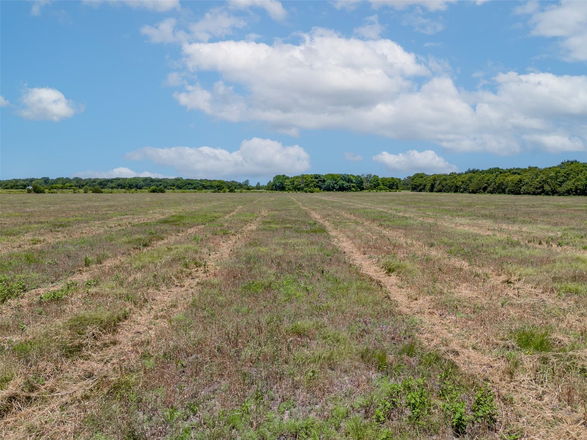34.25 acres in Fannin County - photo 13