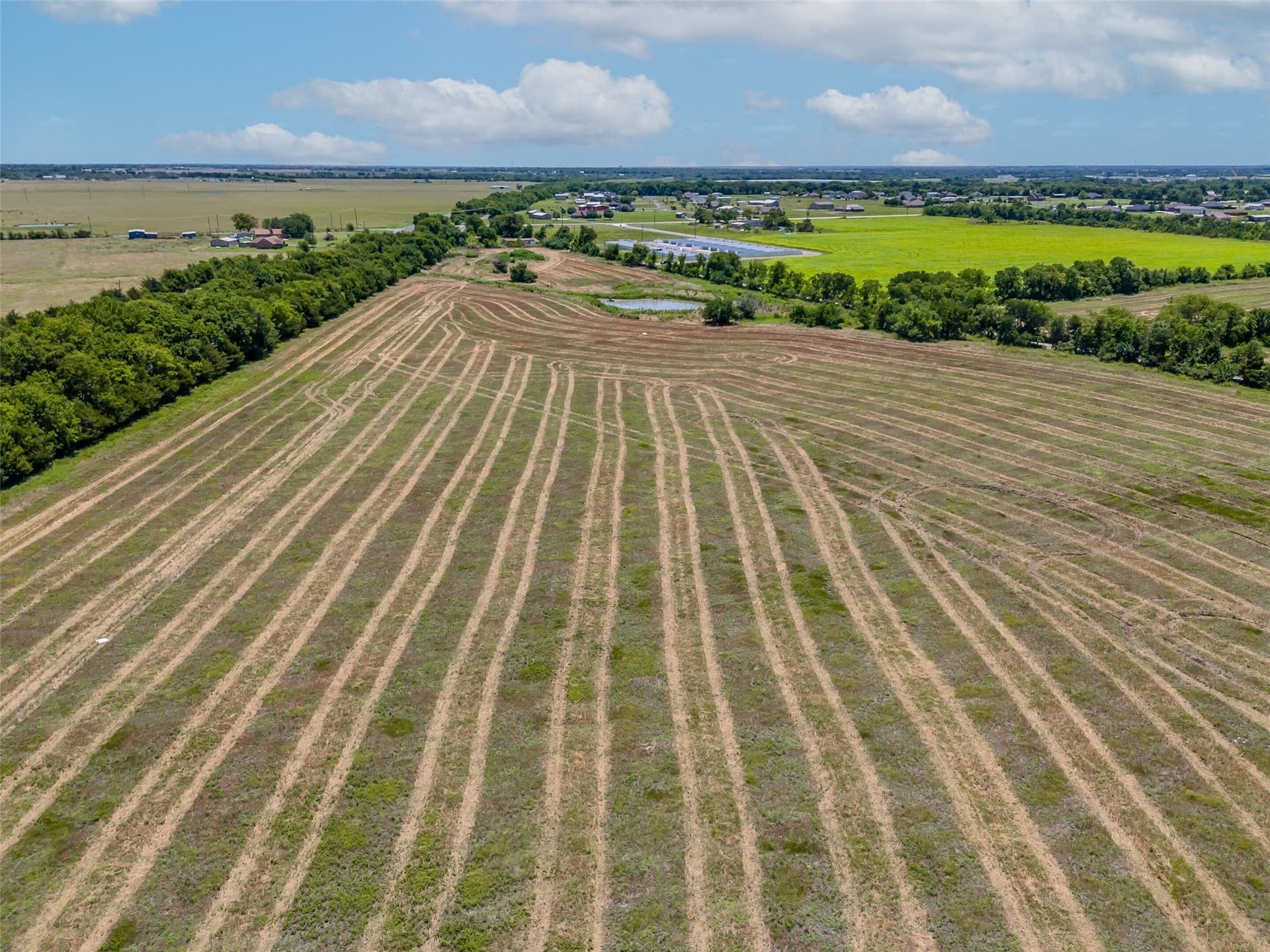 34.25 acres in Fannin County gallery image 2