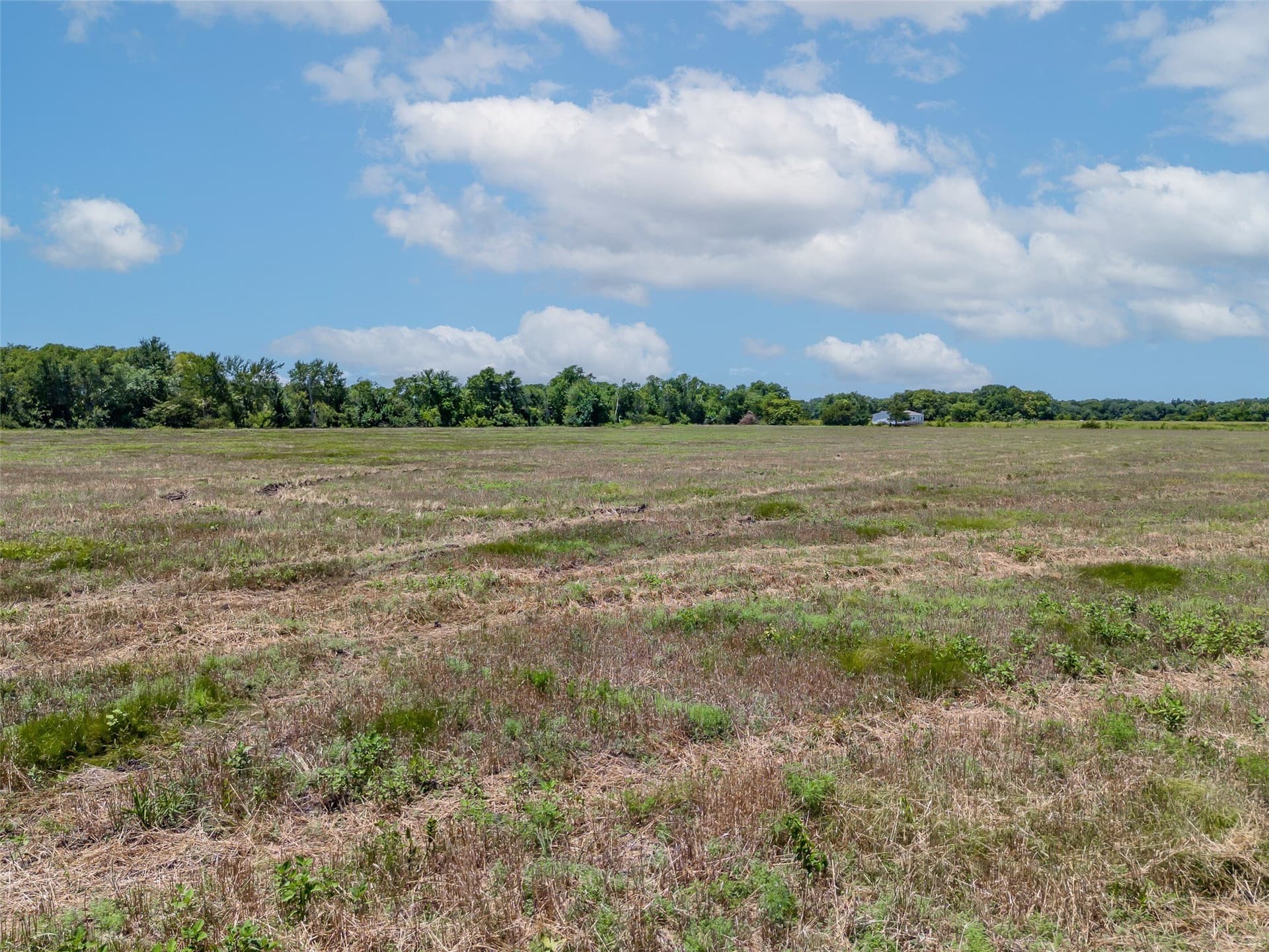 34.25 acres in Fannin County - photo 12