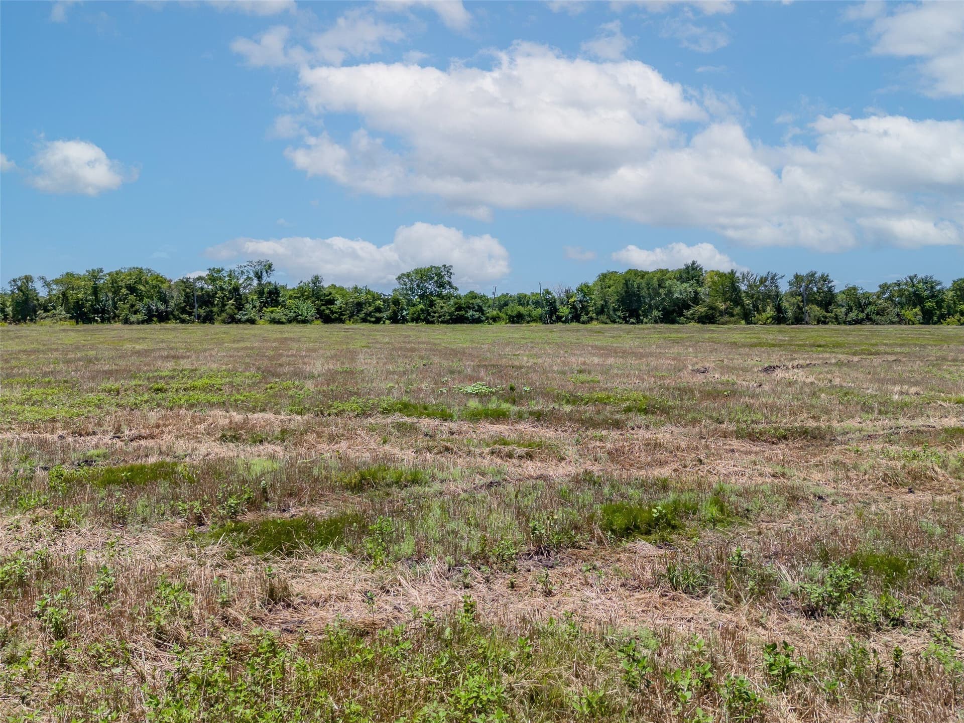 34.25 acres in Fannin County - photo 11