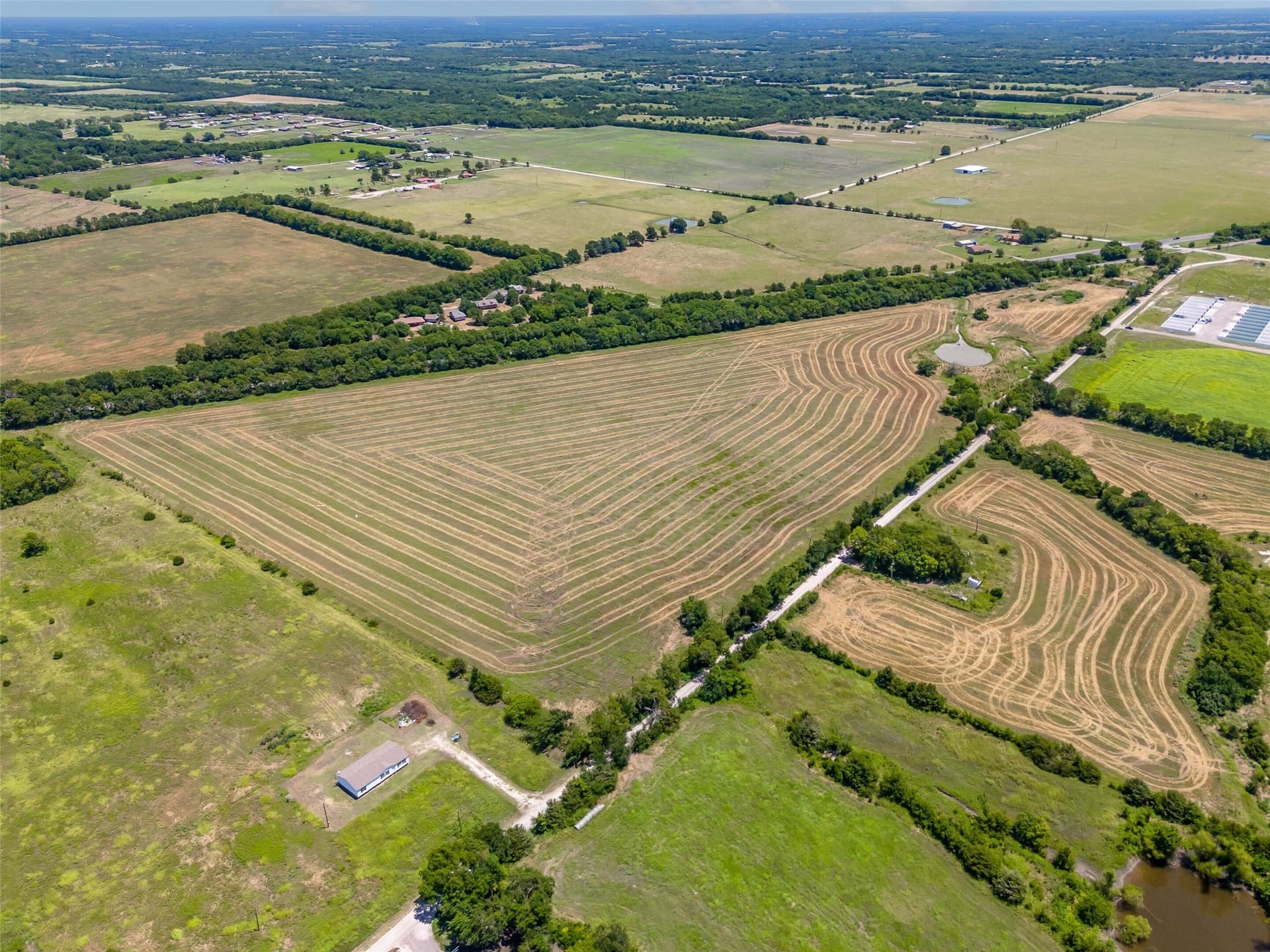 34.25 acres in Fannin County gallery image 4