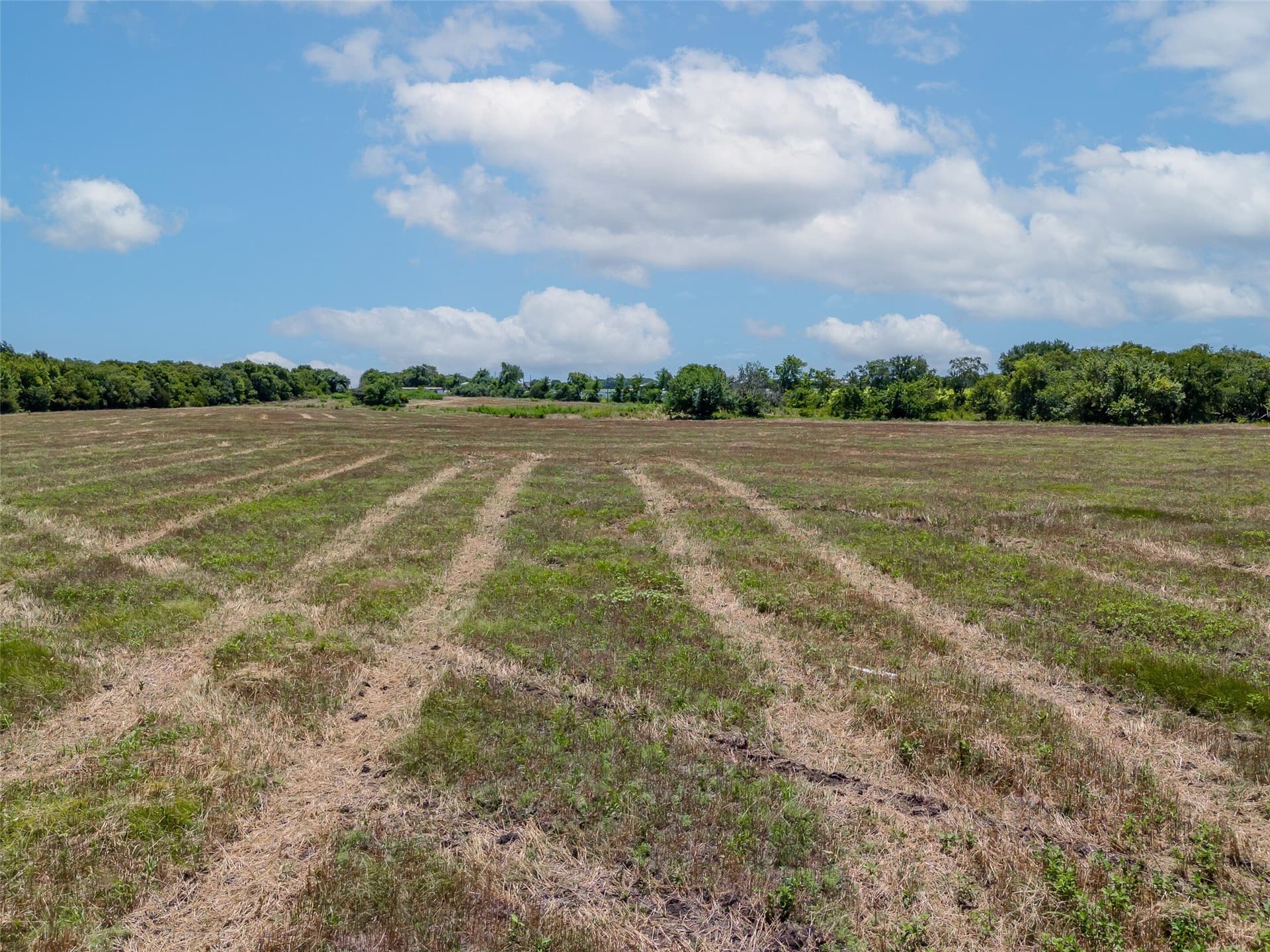 34.25 acres in Fannin County - photo 14