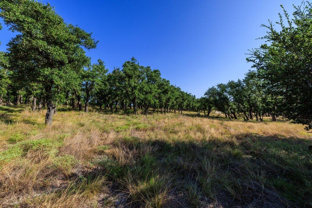 10 acres in Gillespie County - photo 6