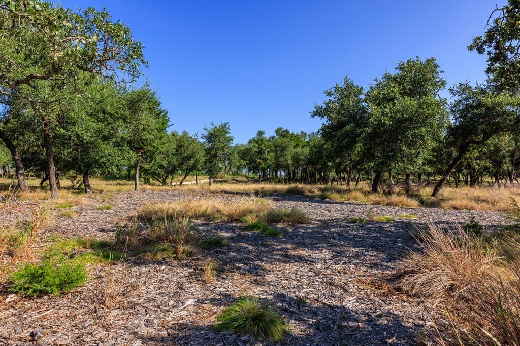 10 acres in Gillespie County - photo 9