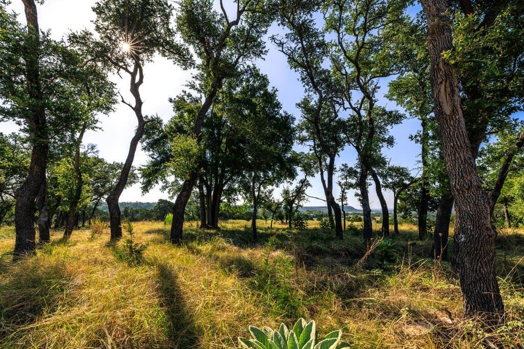 10 acres in Gillespie County - photo 12