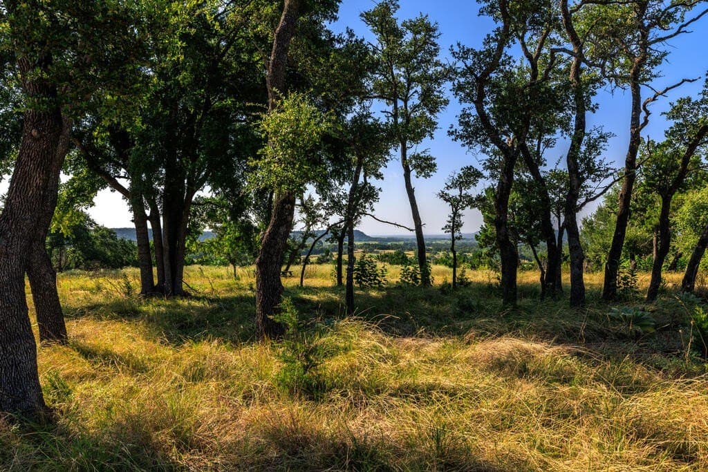 10 acres in Gillespie County - photo 26
