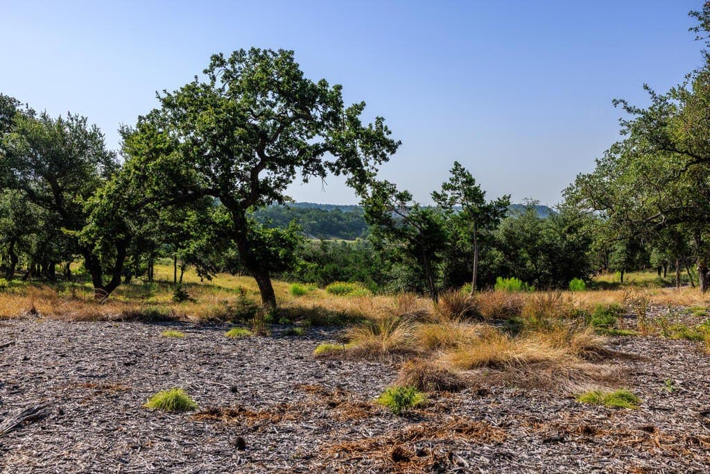 10 acres in Gillespie County - photo 14