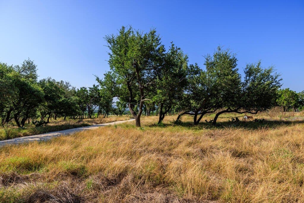 10 acres in Gillespie County - photo 23