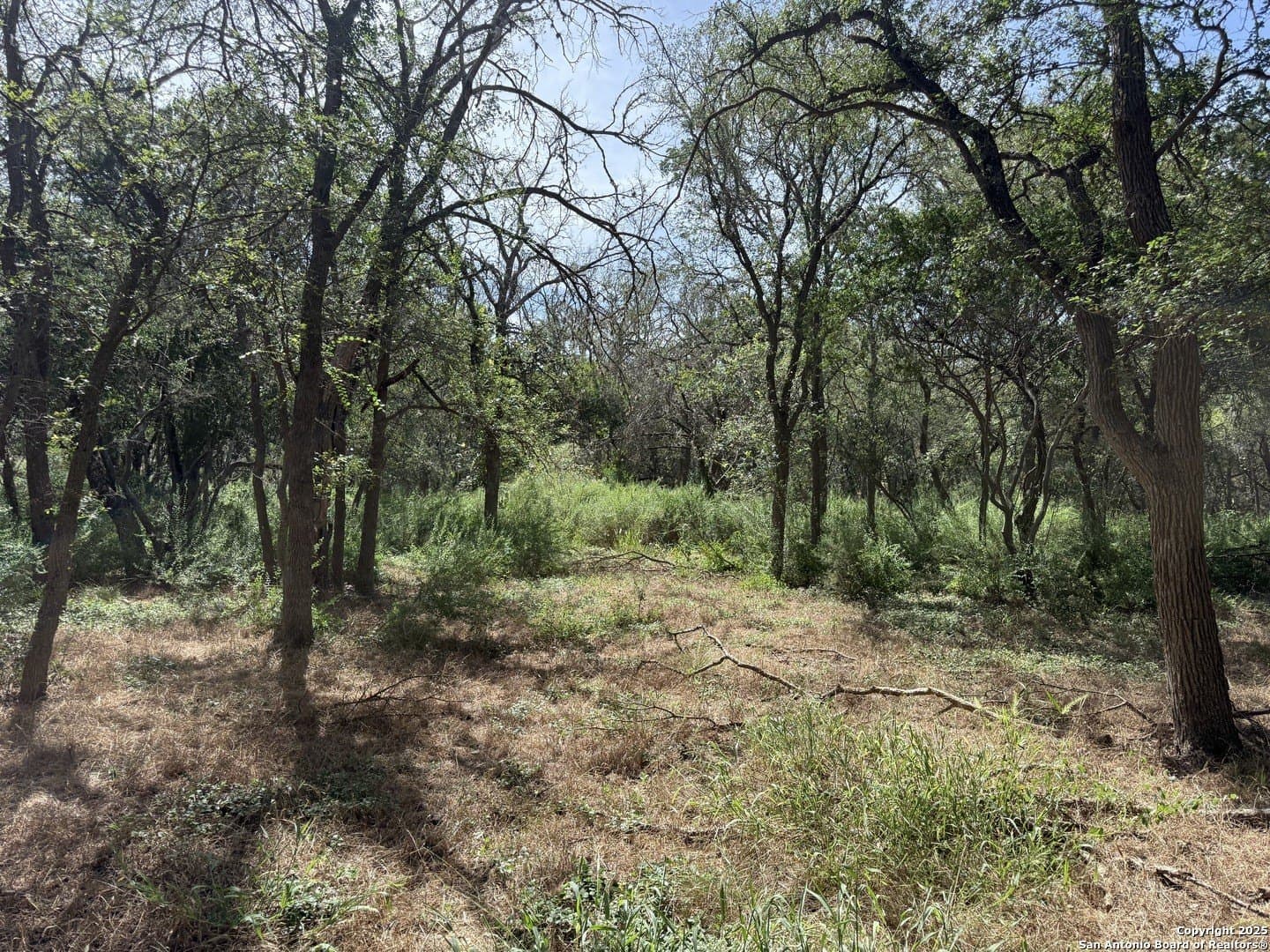 1.43 acres in Comal County featured view