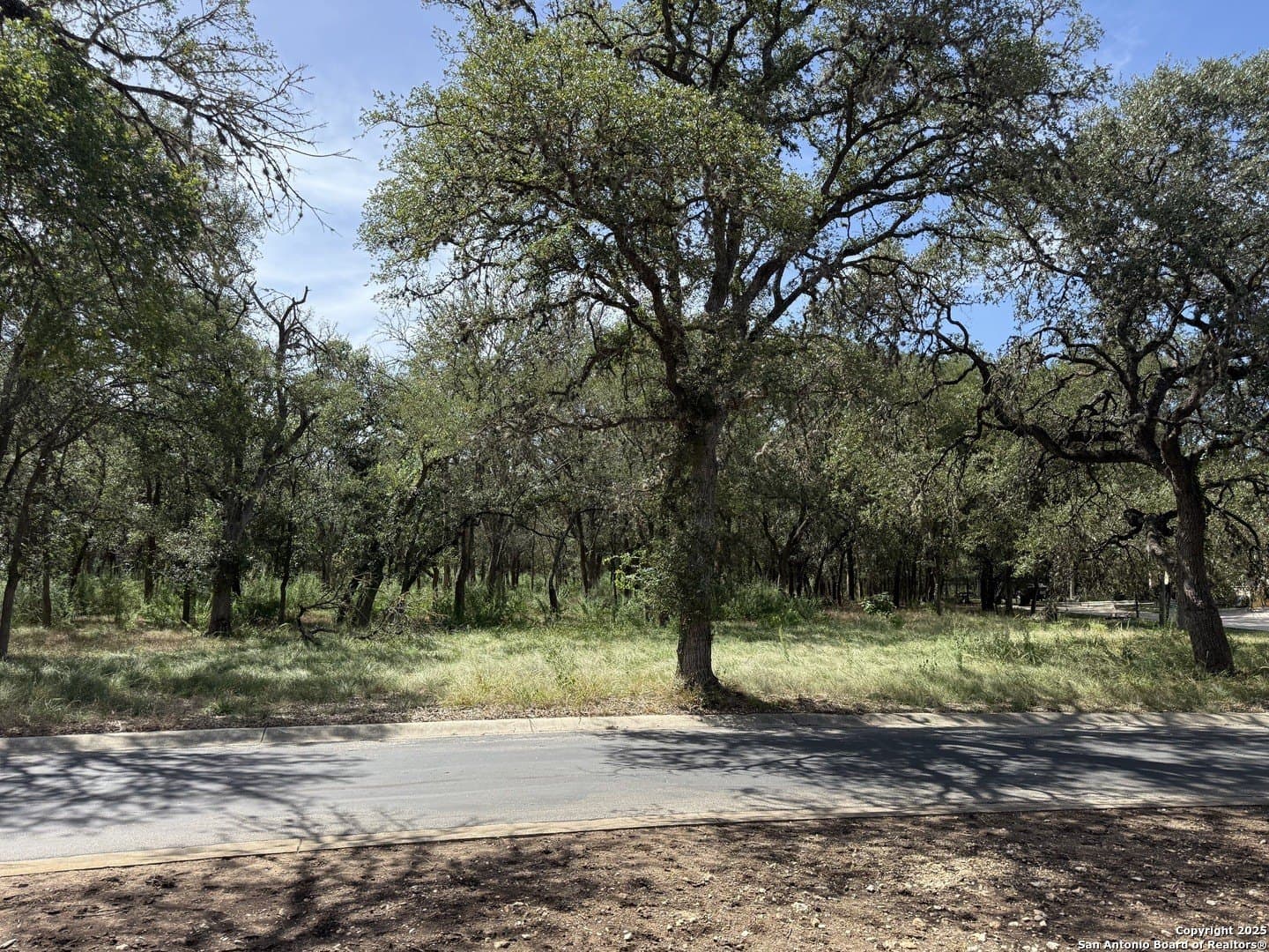 1.43 acres in Comal County gallery image 3