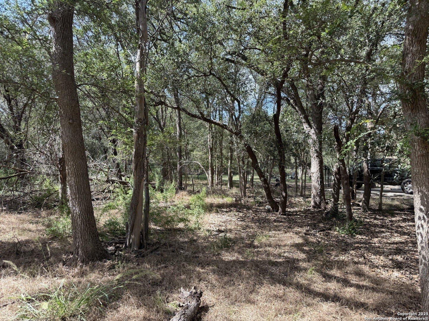 1.43 acres in Comal County gallery image 4