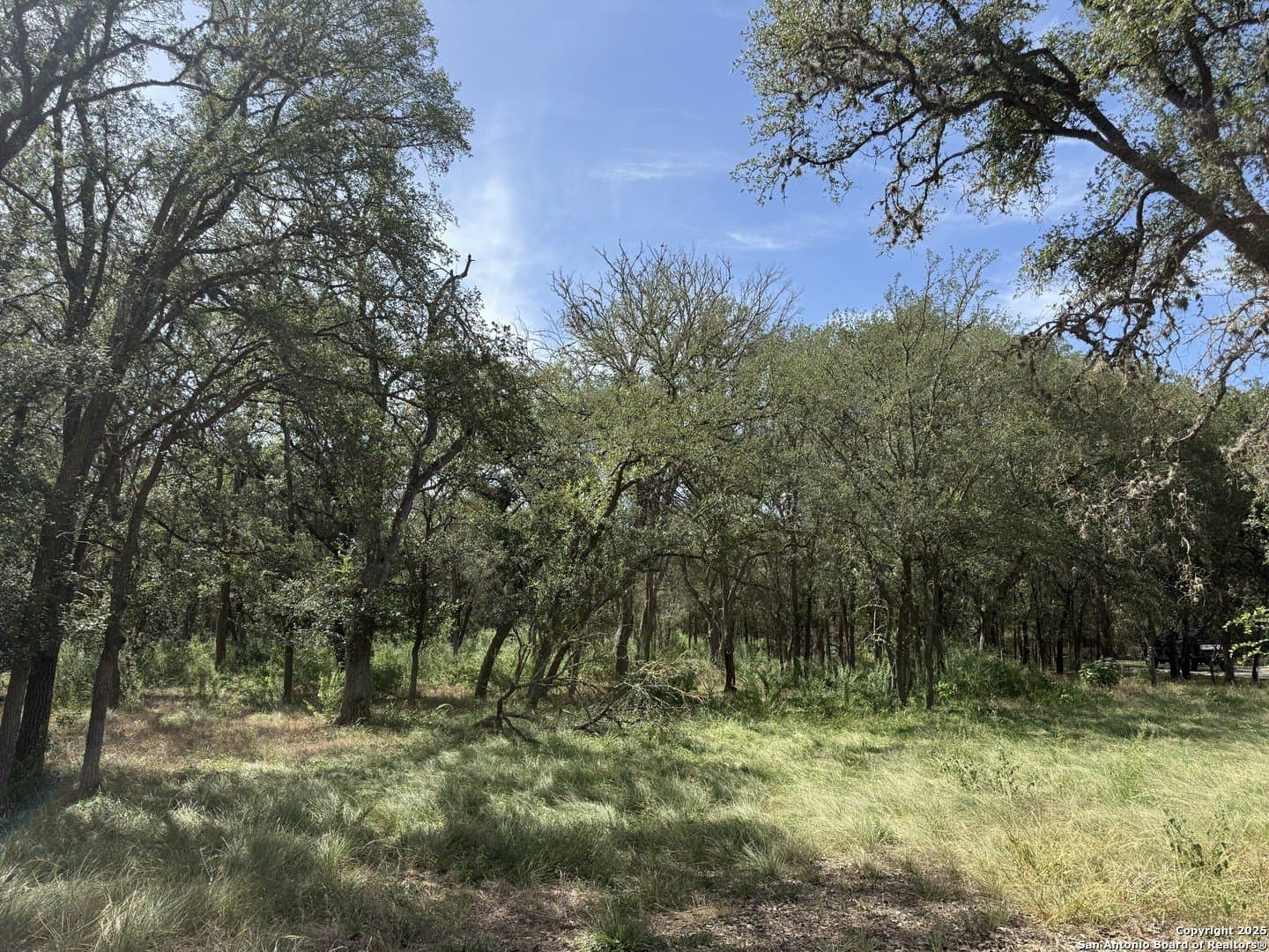 1.43 acres in Comal County gallery image 2