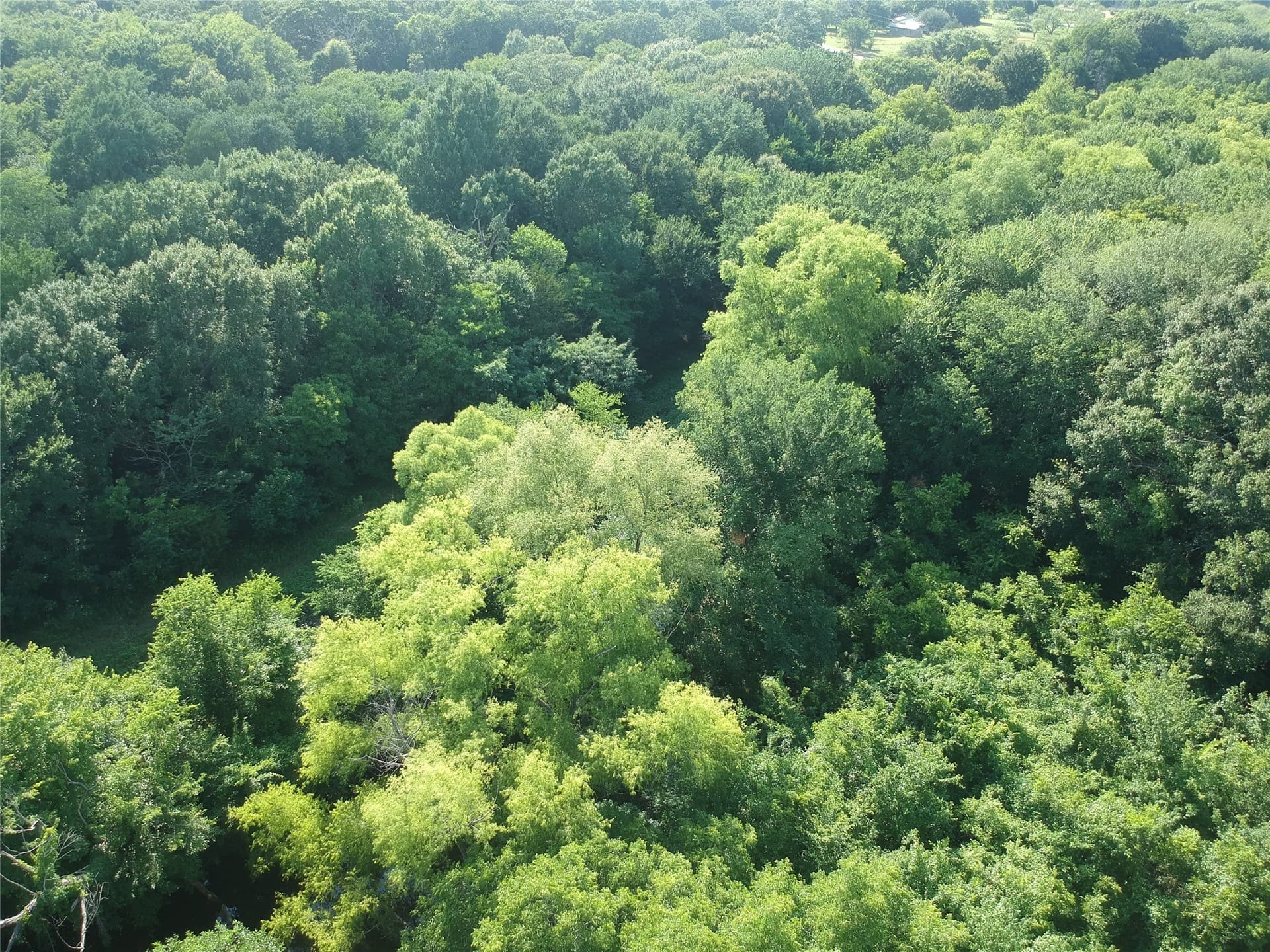 12.51 acres in Kaufman County - photo 21