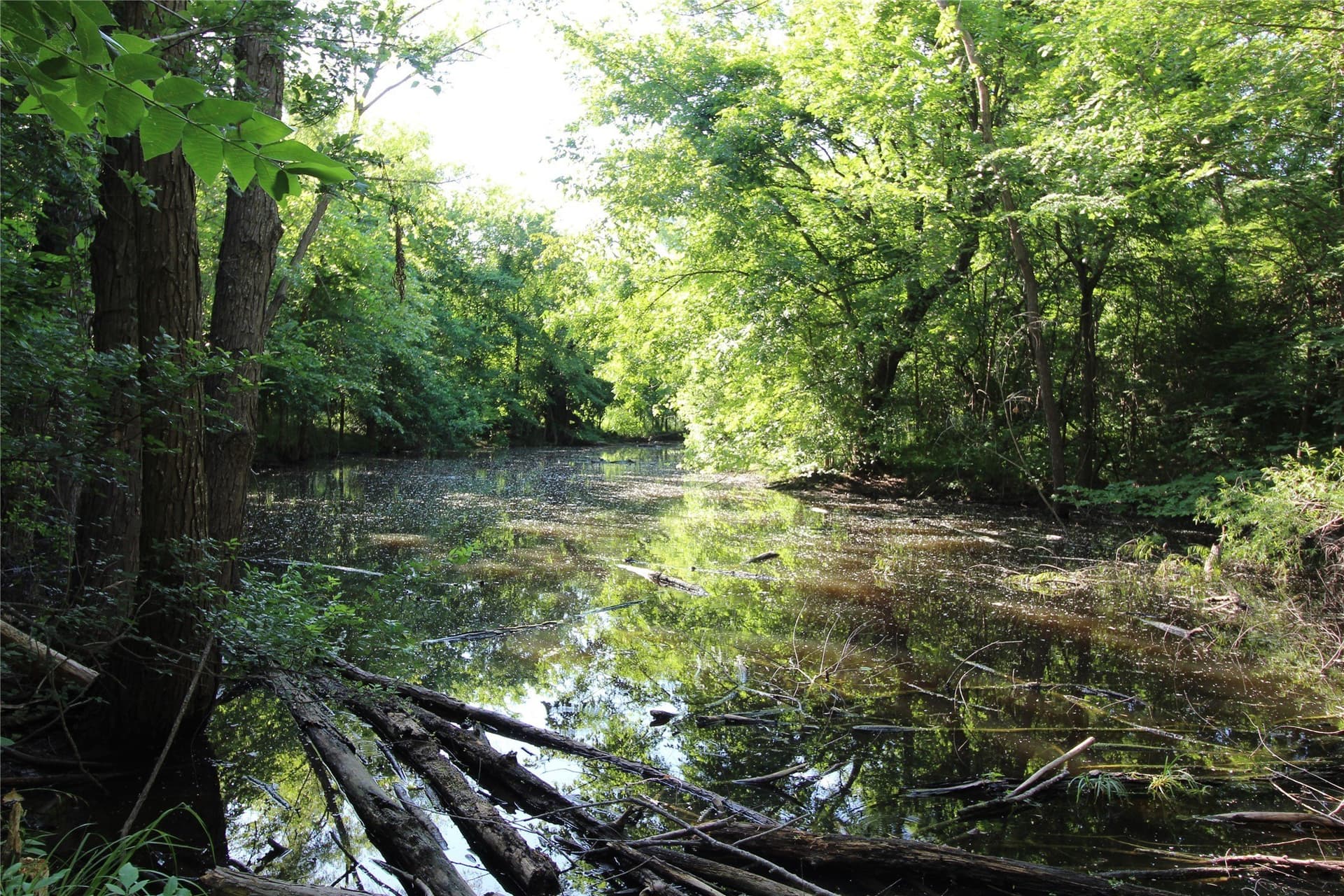 12.51 acres in Kaufman County - photo 20