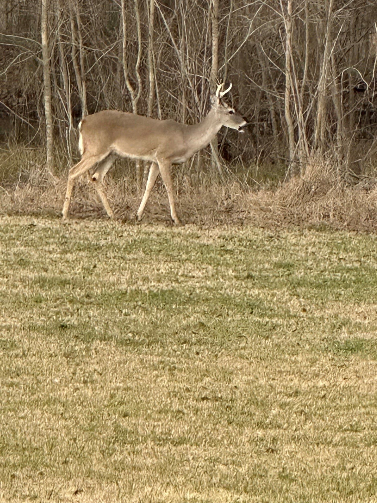 12.51 acres in Kaufman County - photo 15