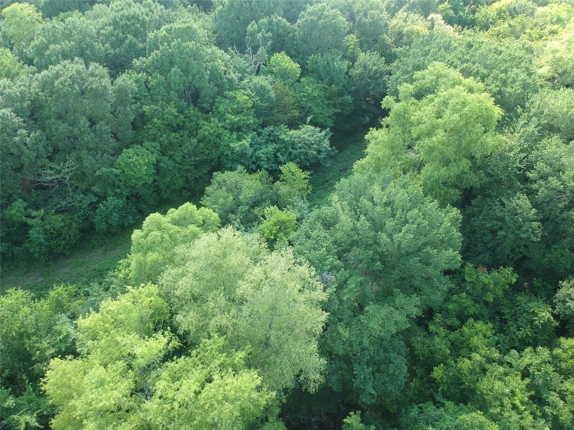 12.51 acres in Kaufman County - photo 24