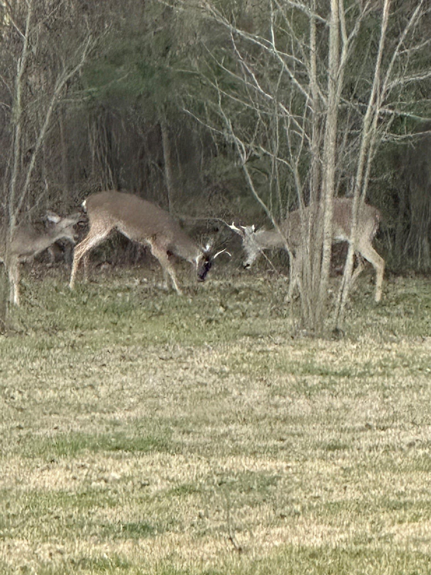 12.51 acres in Kaufman County - photo 9
