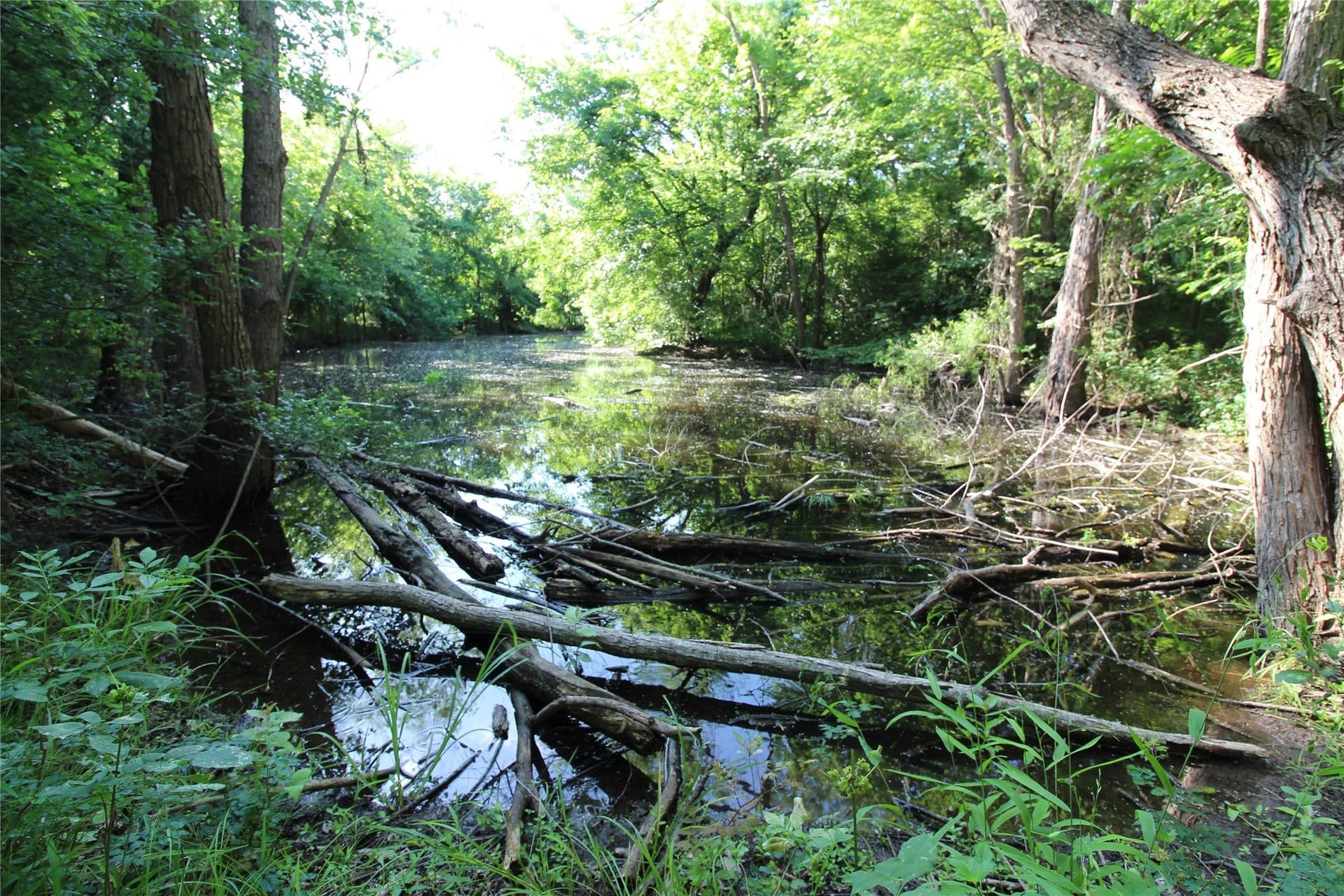 12.51 acres in Kaufman County - photo 14