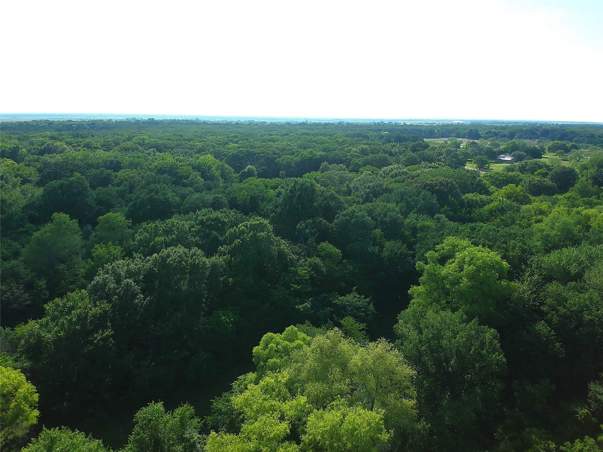 12.51 acres in Kaufman County - photo 27