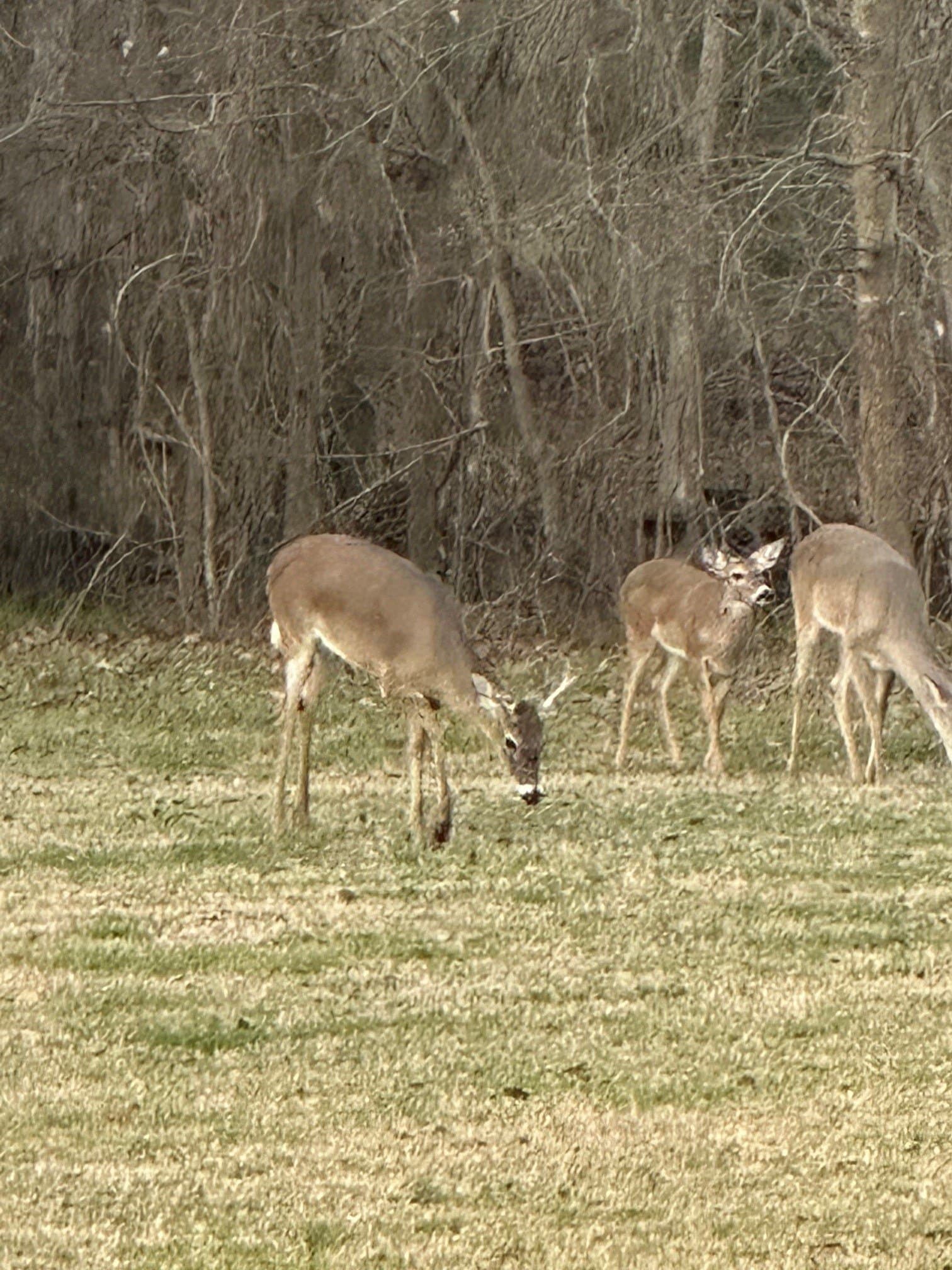 12.51 acres in Kaufman County - photo 7