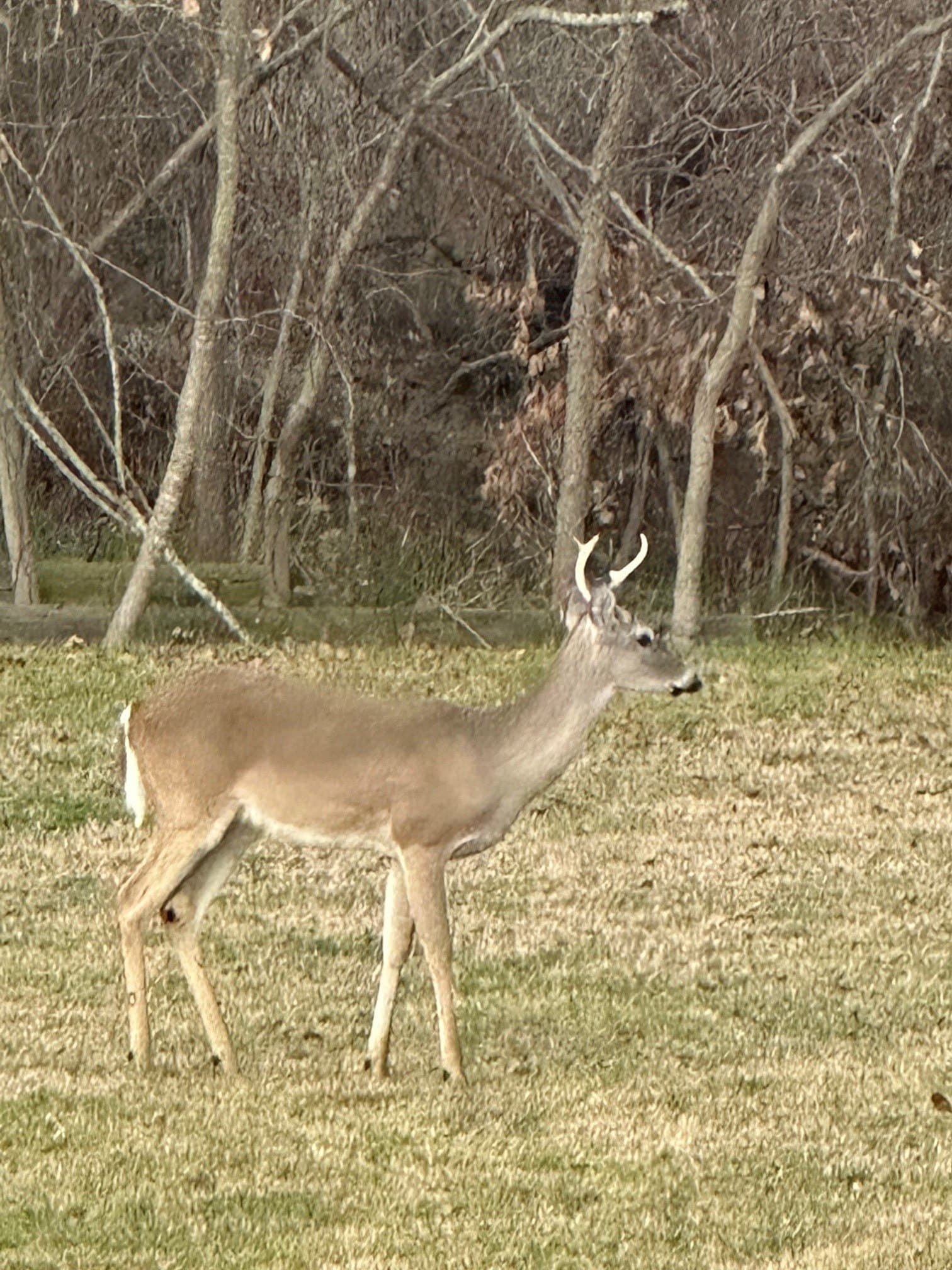 12.51 acres in Kaufman County - photo 11