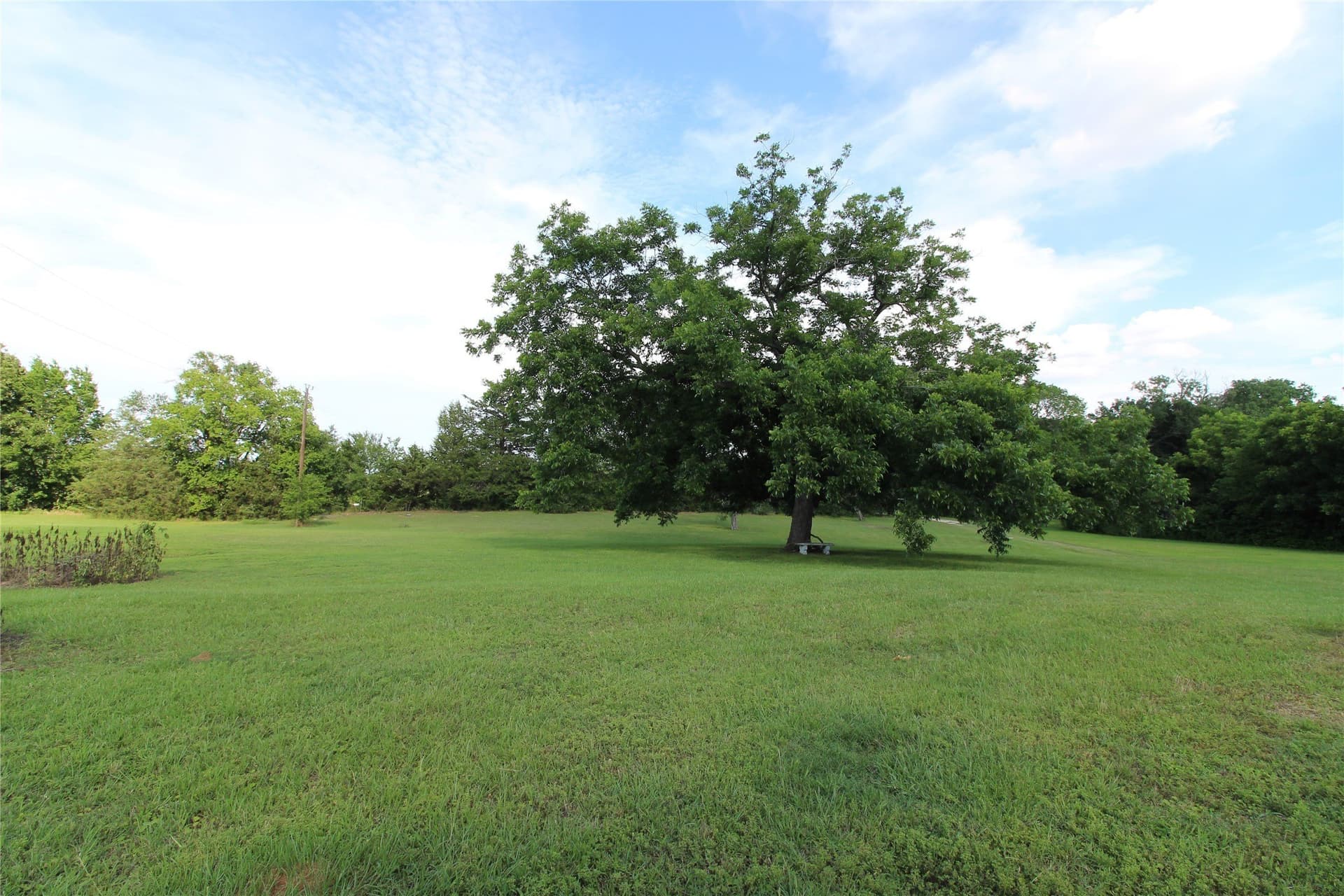 12.51 acres in Kaufman County - photo 10