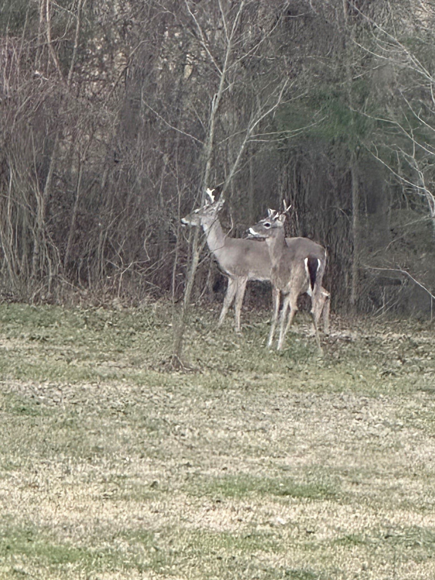 12.51 acres in Kaufman County - photo 17