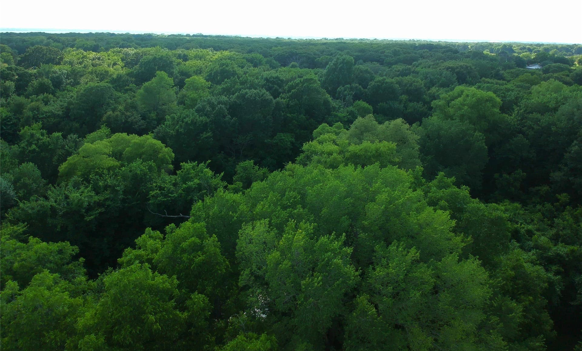 12.51 acres in Kaufman County - photo 18