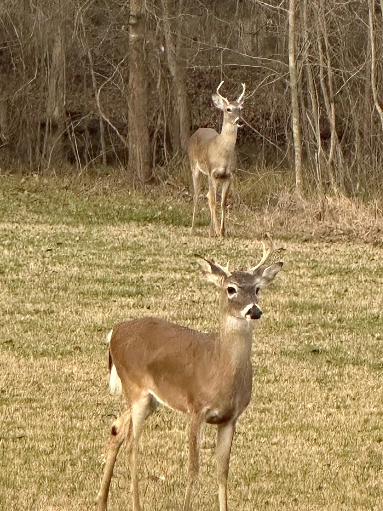 12.51 acres in Kaufman County - photo 13