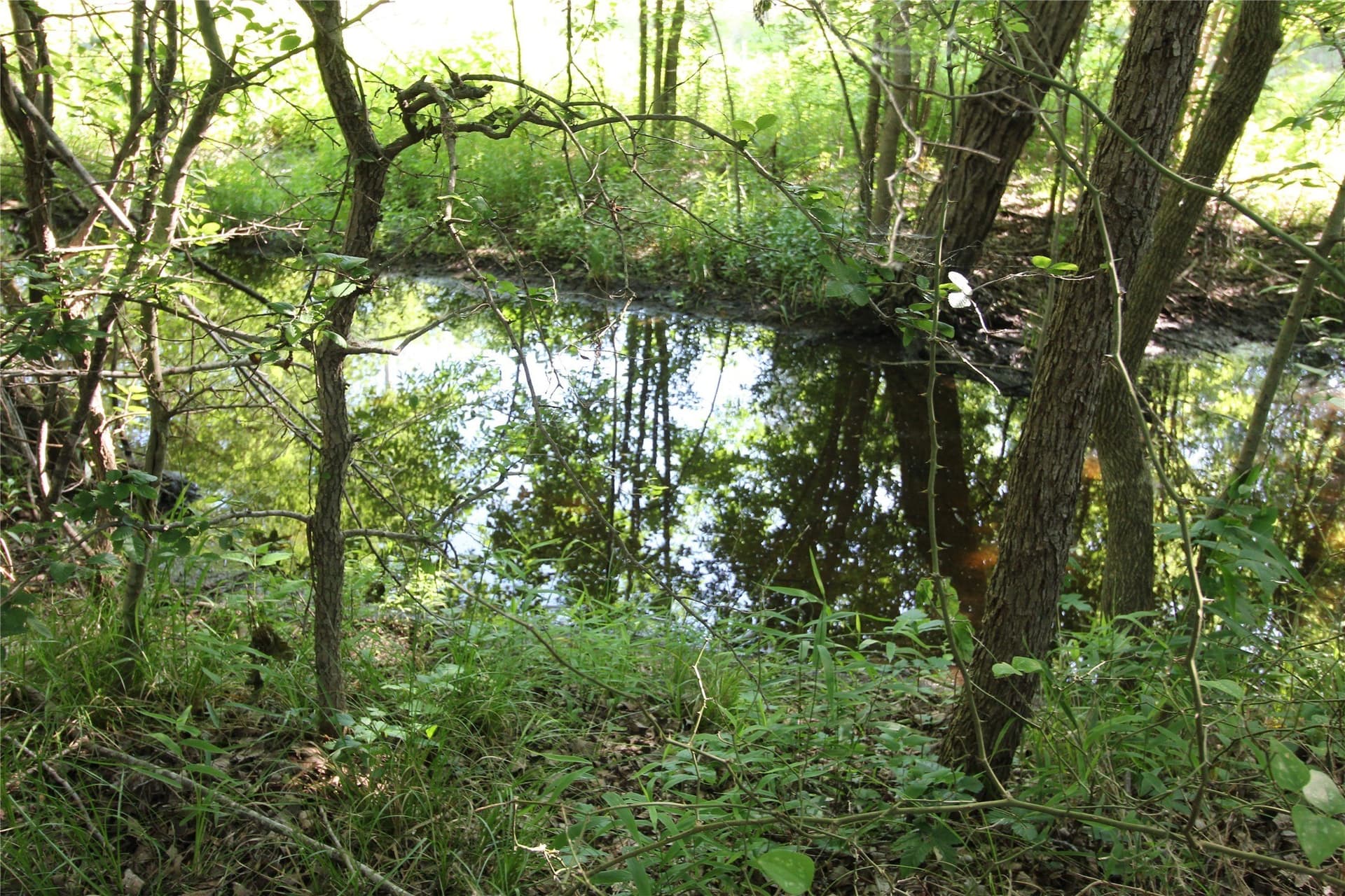 12.51 acres in Kaufman County - photo 23