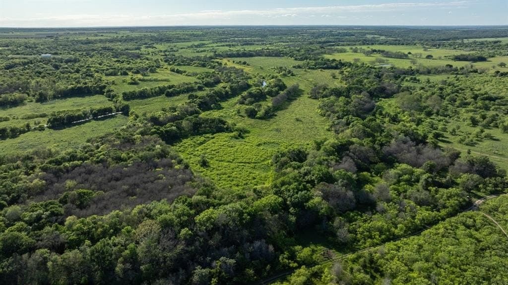 355 acres in Caldwell (TX) County gallery image 3